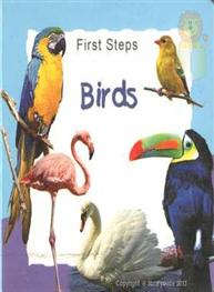 First Steps : Birds