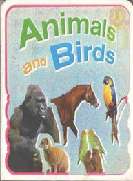 Animals And Birds