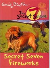 Secret Seven 11: Se..