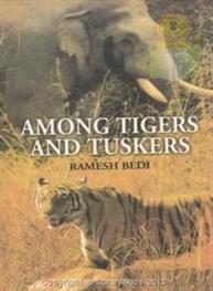 Among Tigers And Tuskers