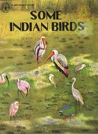 Some Indian Birds