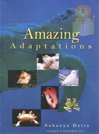 Amazing Adaptations